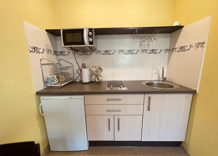 Adis Apartman Palanga